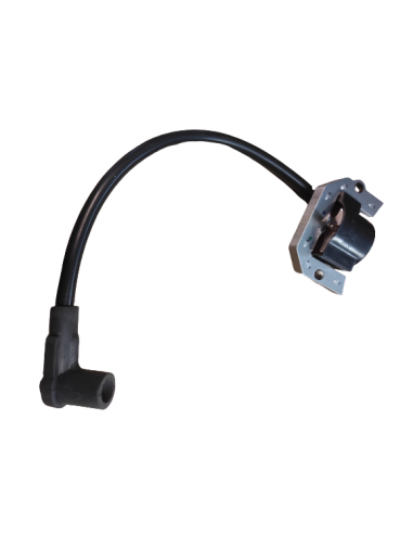 Uždegimo ritė KAWASAKI