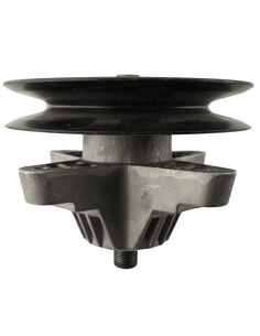 Guoliavietė su ašimi