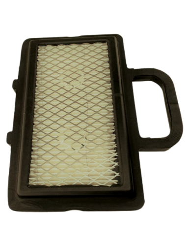 Oro filtras B/S varikliams