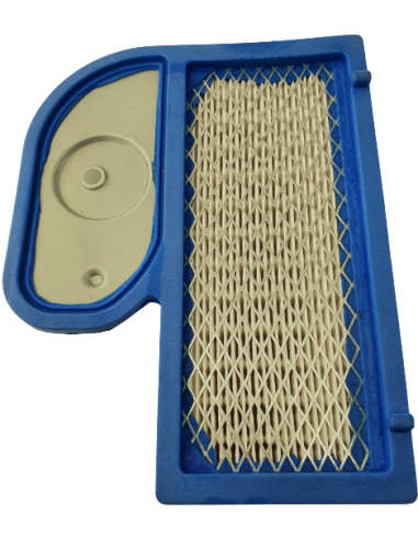 Oro filtras Kawasaki varikliams