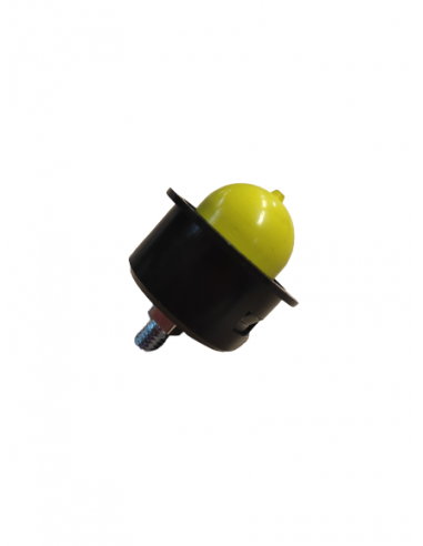 Pompelė