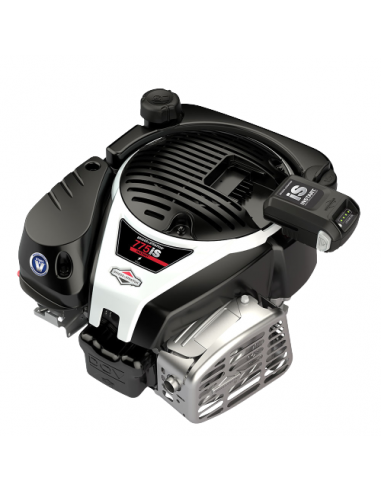 Variklis benzininis Briggs&Stratton 750
