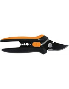 Solid kirpiklis augalų...