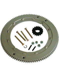 Smagračio žiedas tinka...