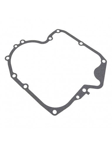 Tarpine karterio Briggs&Stratton