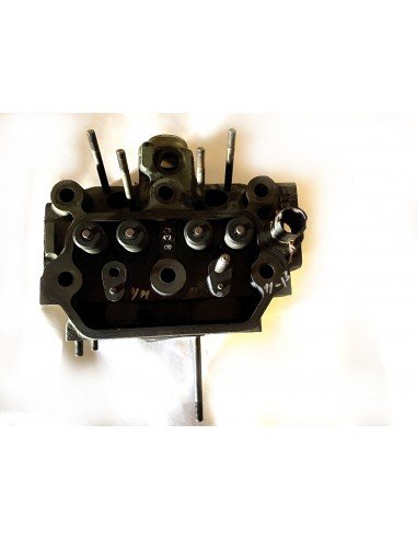 Galva variklio YANMAR 2 cil.