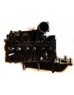 Galva variklio YANMAR F14