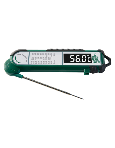 Momentinis skaitmeninis