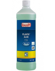 Planta Aloe indų ploviklis